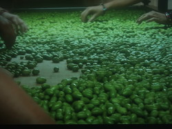 2023 - Rencontres des 11 - 34 - 81