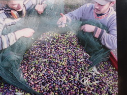 2023 - Rencontres des 11 - 34 - 81