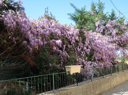 2023 - Rencontres des 11 - 34 - 81