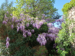 2023 - Rencontres des 11 - 34 - 81