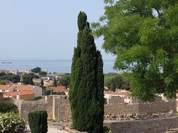 A la découverte des Calanques