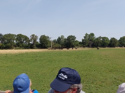 A la découverte des Calanques