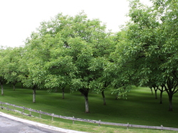 Balade en Dordogne et Lot