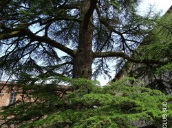 Balade en Tarn-et-Garonne