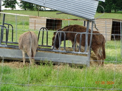 Balade en Tarn-et-Garonne
