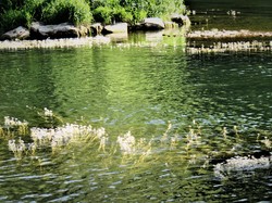BOURGOGNE et FRANCHE-COMTE
