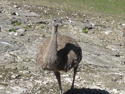 BOURGOGNE et FRANCHE-COMTE