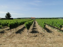 Découverte de la DRÔME 2014