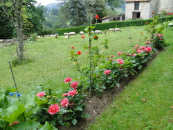 Festival de Boogie Woogie 2014