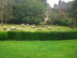 Festival de Boogie Woogie 2014