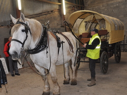 informatique et folklore