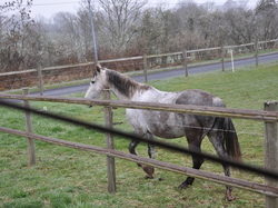 informatique et folklore
