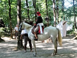 Alentours du Puy du Fou avec le club Vendée océan