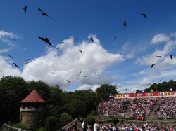 Alentours du Puy du Fou avec le club Vendée océan