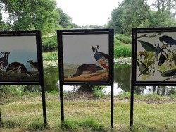 Alentours du Puy du Fou avec le club Vendée océan