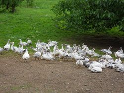 Les Bastides d' Avéyron et du Lot 2014