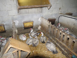 Les Bastides d' Avéyron et du Lot 2014