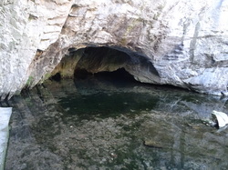 Les châtaignes st Pons