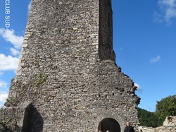 Les châtaignes st Pons