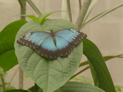 Loiret et bords de Loire 2013