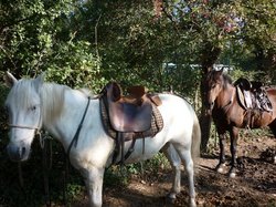 PROLONGATION A G CALANQUES 2013