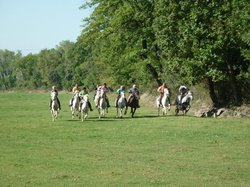 PROLONGATION A G CALANQUES 2013