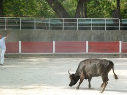 PROLONGATION A G CALANQUES 2013