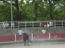 PROLONGATION A G CALANQUES 2013