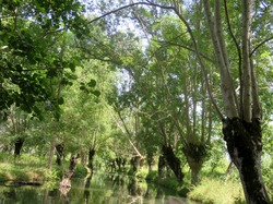 Puy du Fou et Venise verte