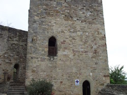 REUNION DES AVEYRONNAIS 2013