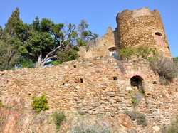 Sortie Bormes Les Mimosas