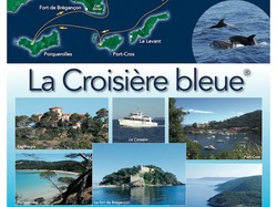 Sortie Bormes Les Mimosas