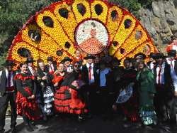 Sortie Bormes Les Mimosas