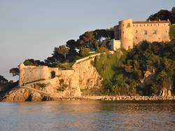 Sortie Bormes Les Mimosas