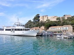 Sortie Bormes Les Mimosas