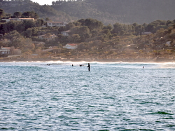 Sortie Bormes Les Mimosas