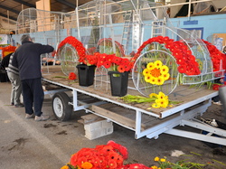 Sortie Bormes Les Mimosas