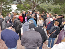 Sortie Bormes Les Mimosas