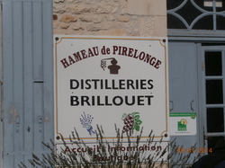 Sortie Charente Maritime 2014