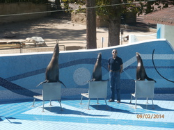 Sortie Charente Maritime 2014