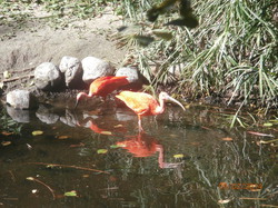 Sortie Charente Maritime 2014