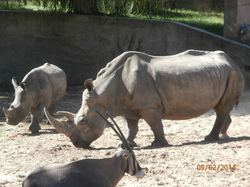Sortie Charente Maritime 2014