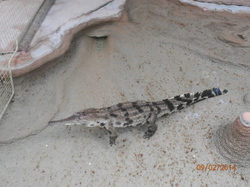 Sortie Charente Maritime 2014