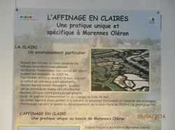 Sortie Charente Maritime 2014