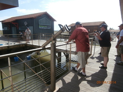 Sortie Charente Maritime 2014