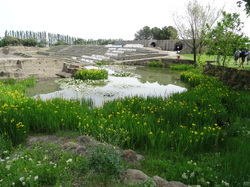 Sortie Languedoc 2015