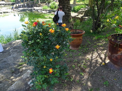 Sortie Languedoc 2015