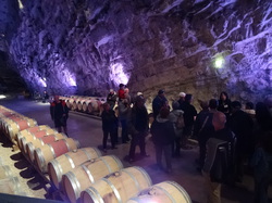 Sortie Languedoc 2015