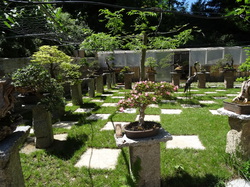 Sortie Languedoc 2015