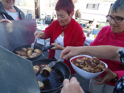 Sortie Languedoc 2015